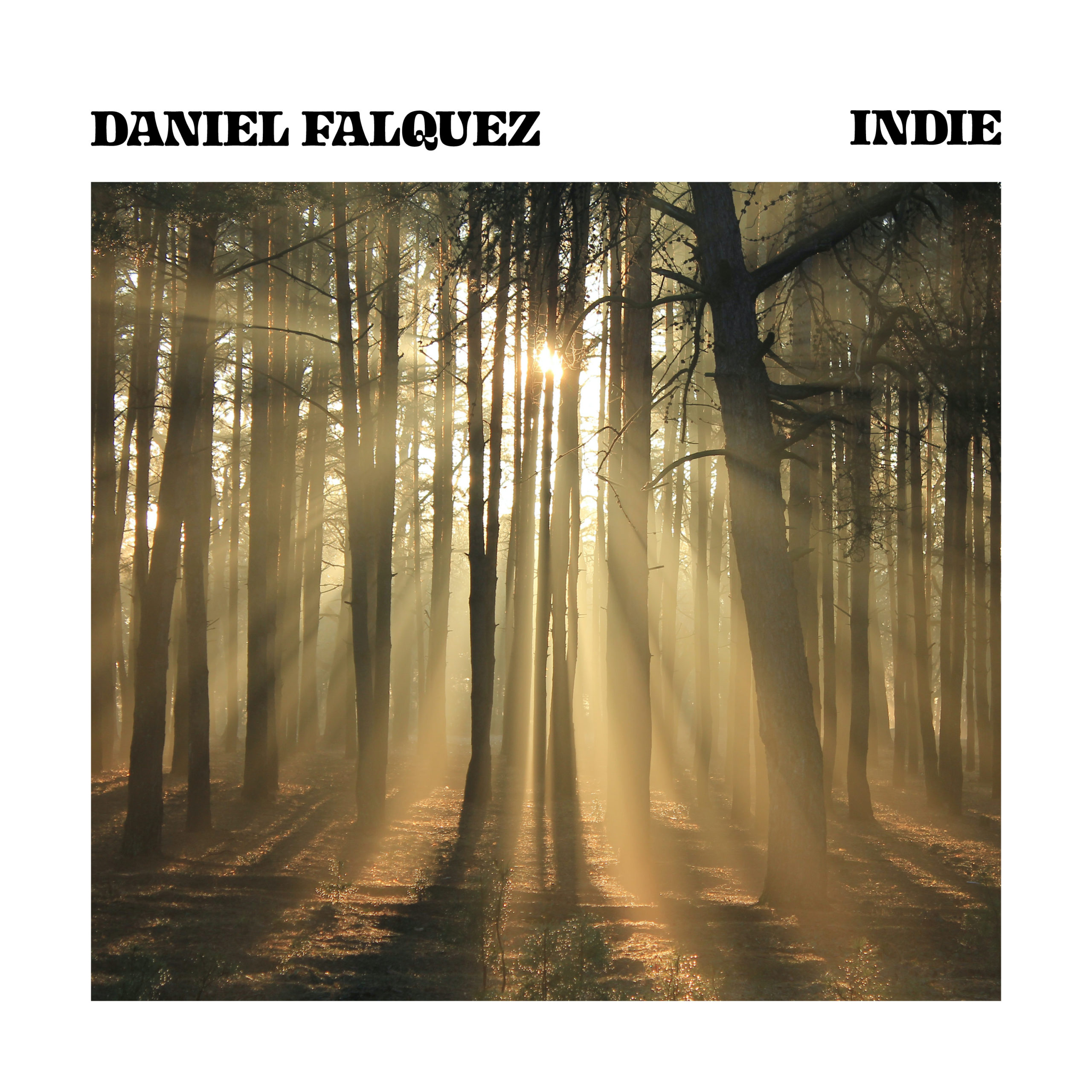 Indie is the debut song from Daniel Falquez